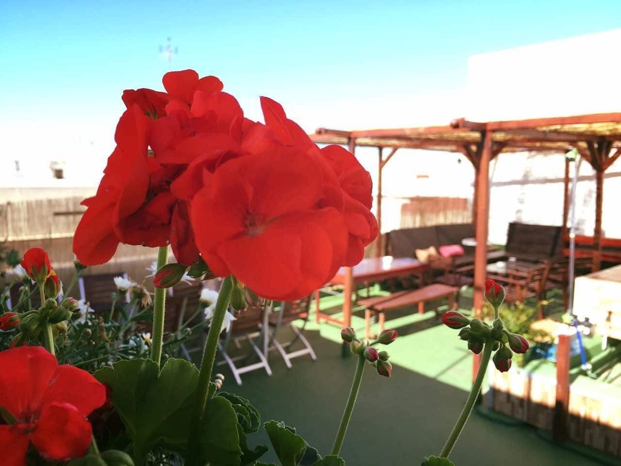 Summer קדיז מראה חיצוני תמונה